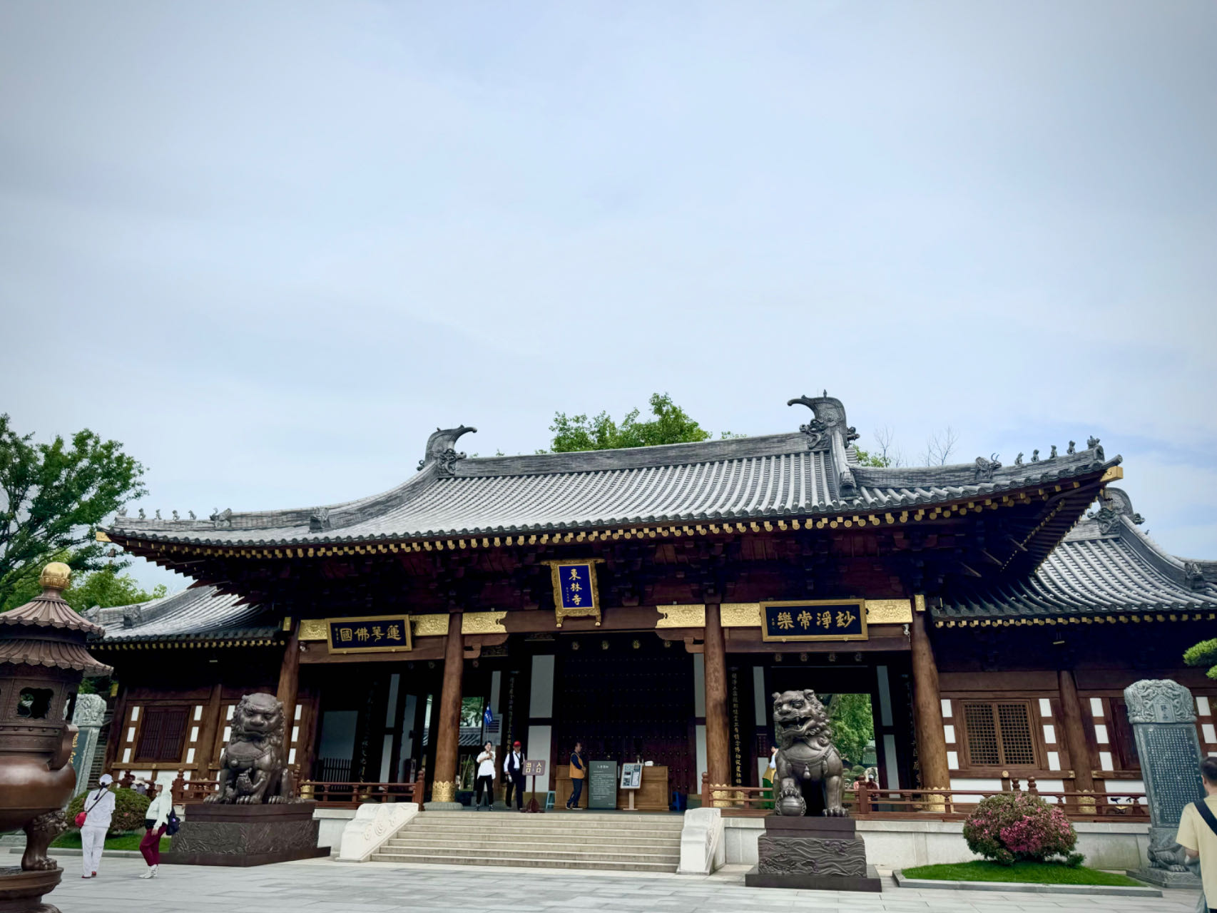 图片1